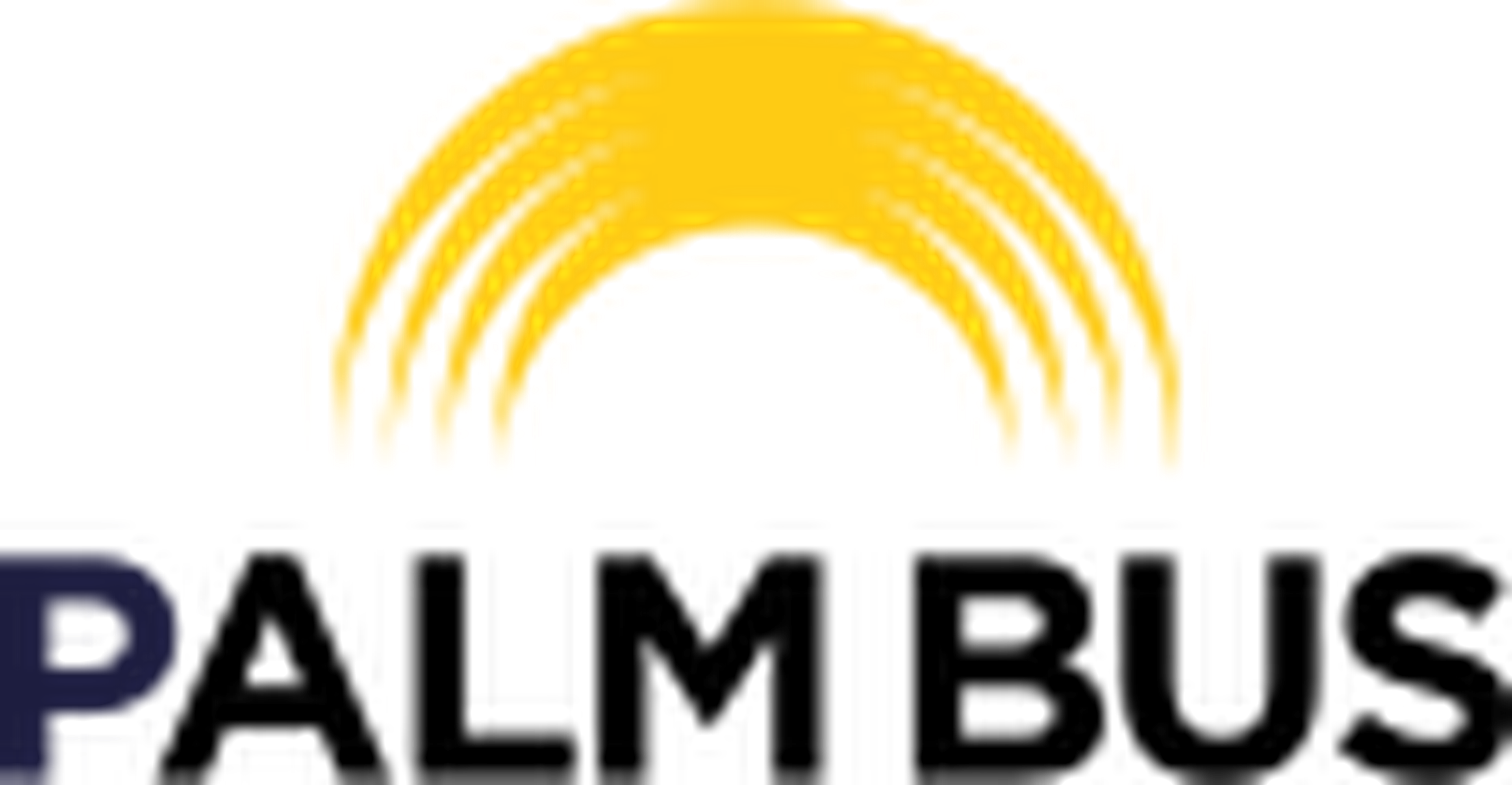 Logo Palmbus