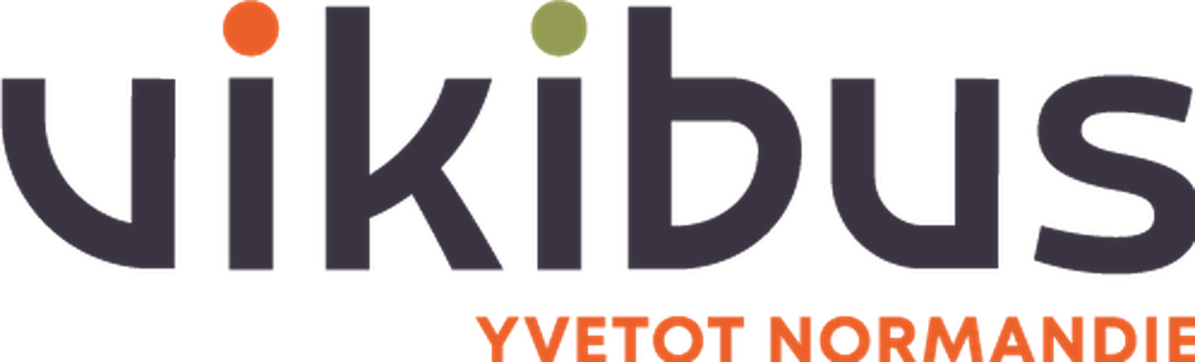 Logo Vikibus